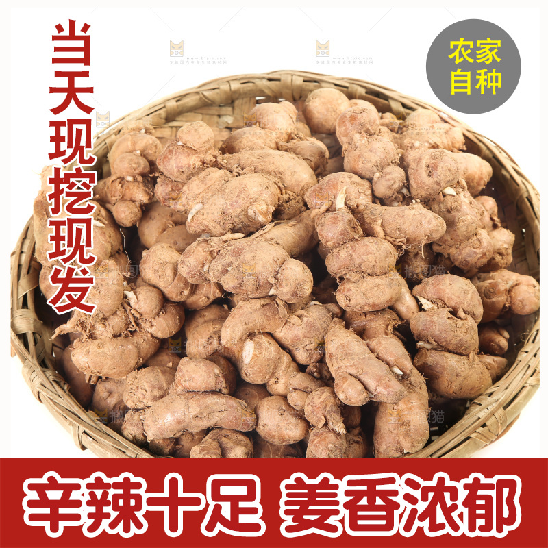 白底上放着一篮沙姜