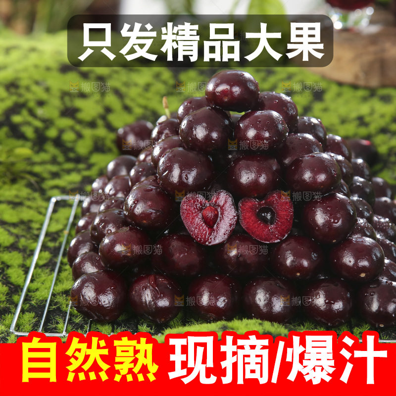 绿色草坪上摆放着一堆车厘子