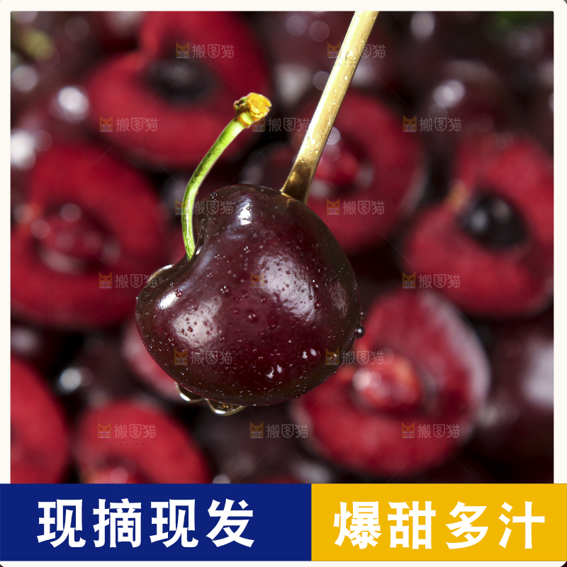 一颗黑珍珠车厘子