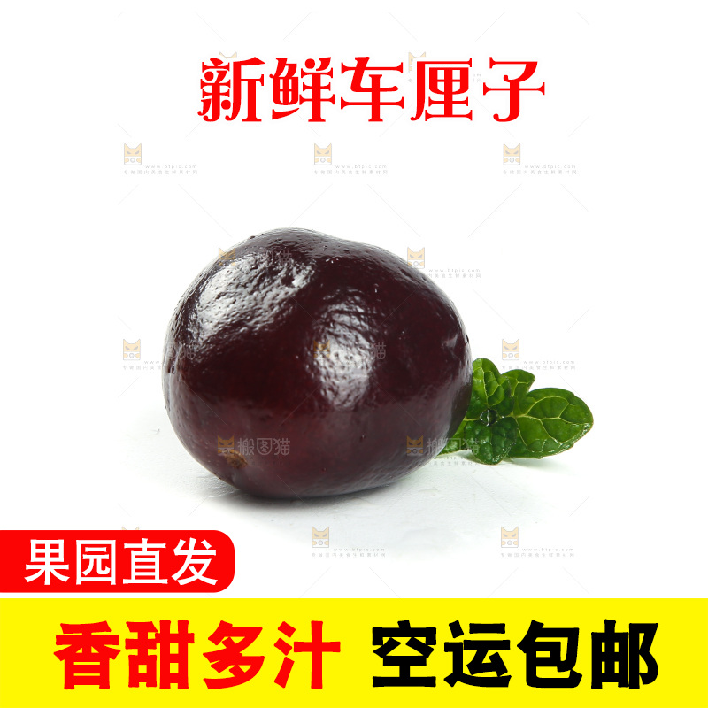 白底上的樱桃