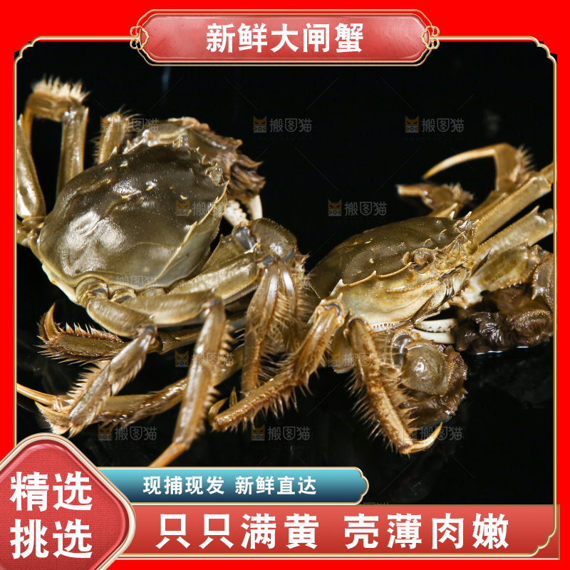 黑底上的鲜活大闸蟹