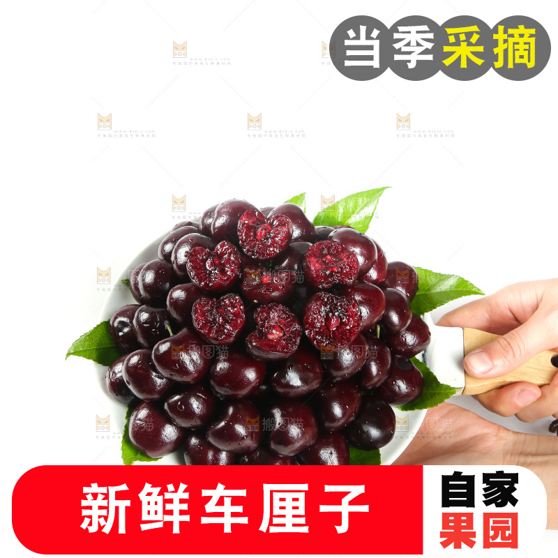 手里端着一盘智利进口车厘子