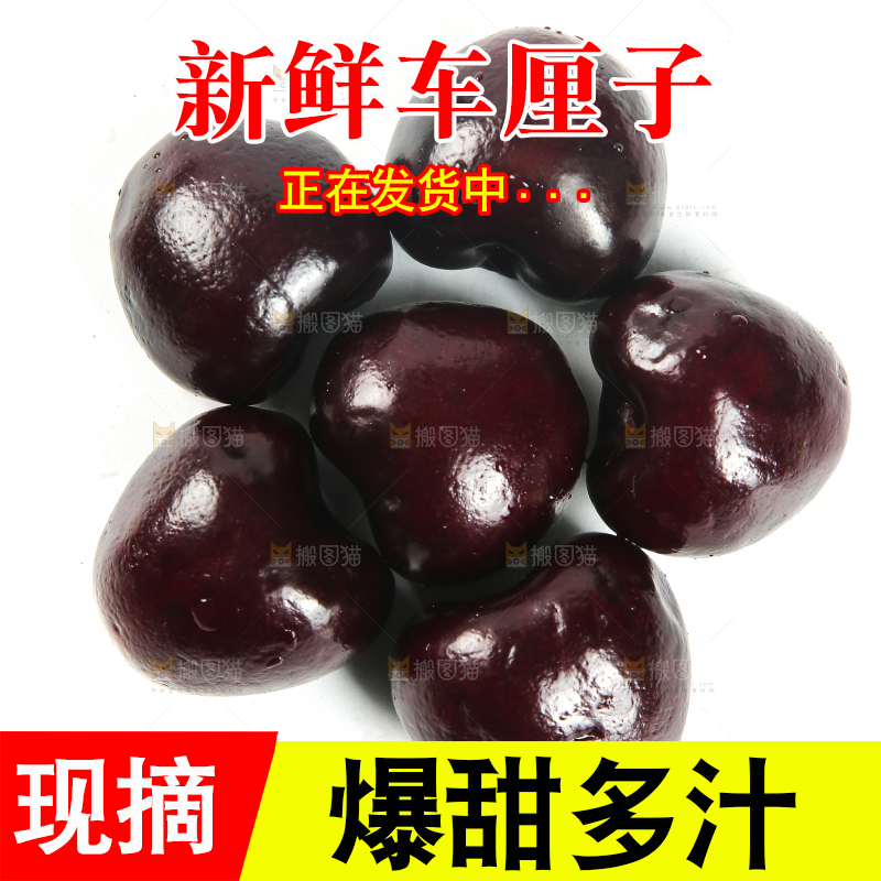 白底上放着黑珍珠车厘子