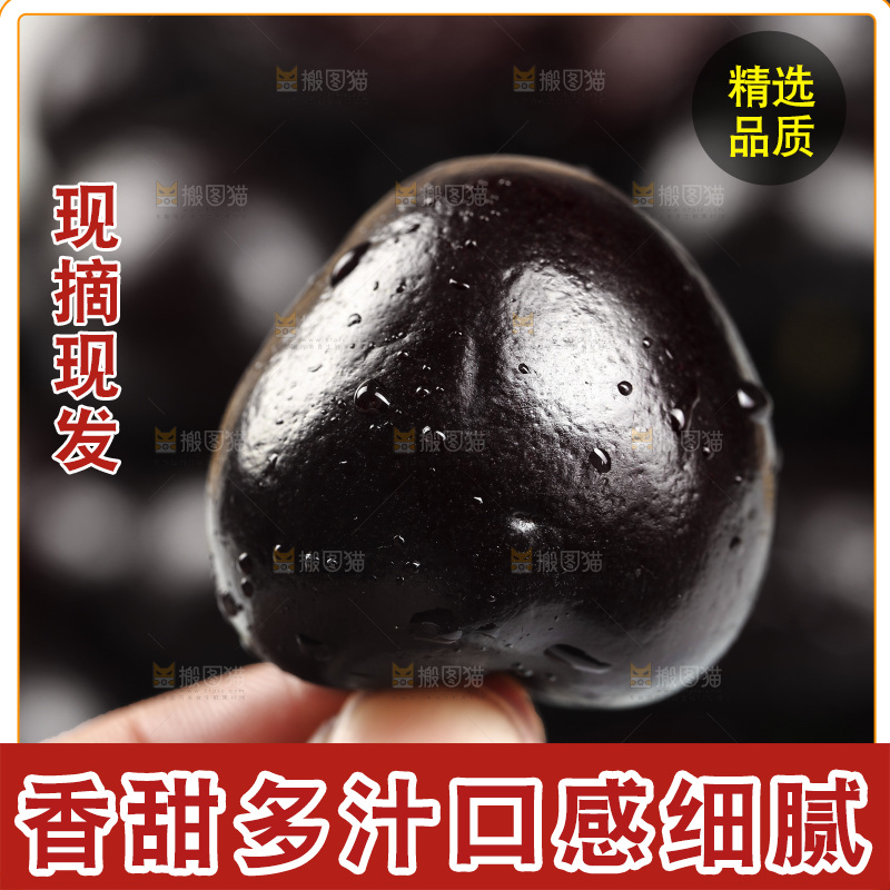 手里拿着黑珍珠