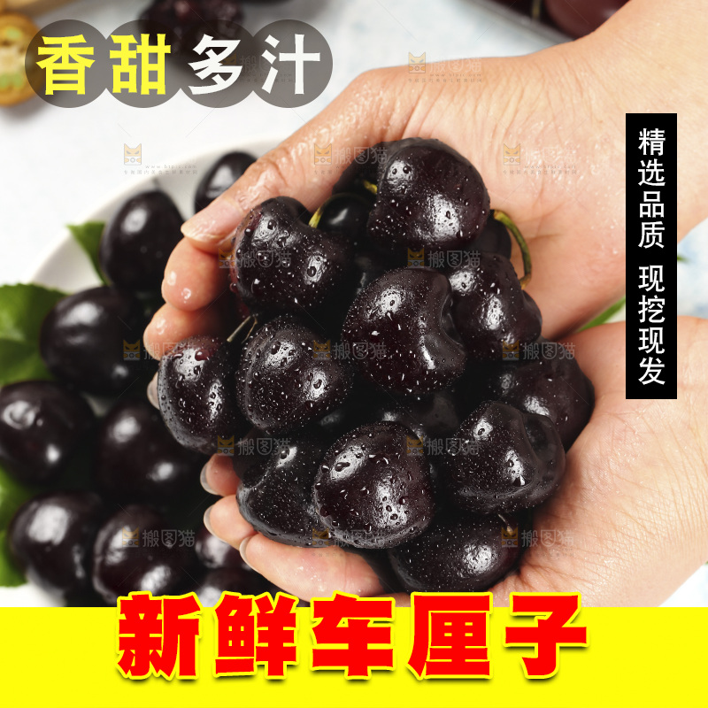 手里捧着黑珍珠车厘子