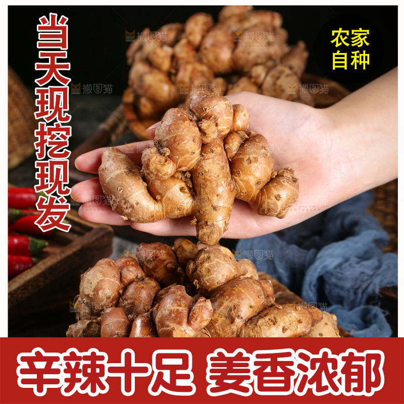 手里拿着沙姜