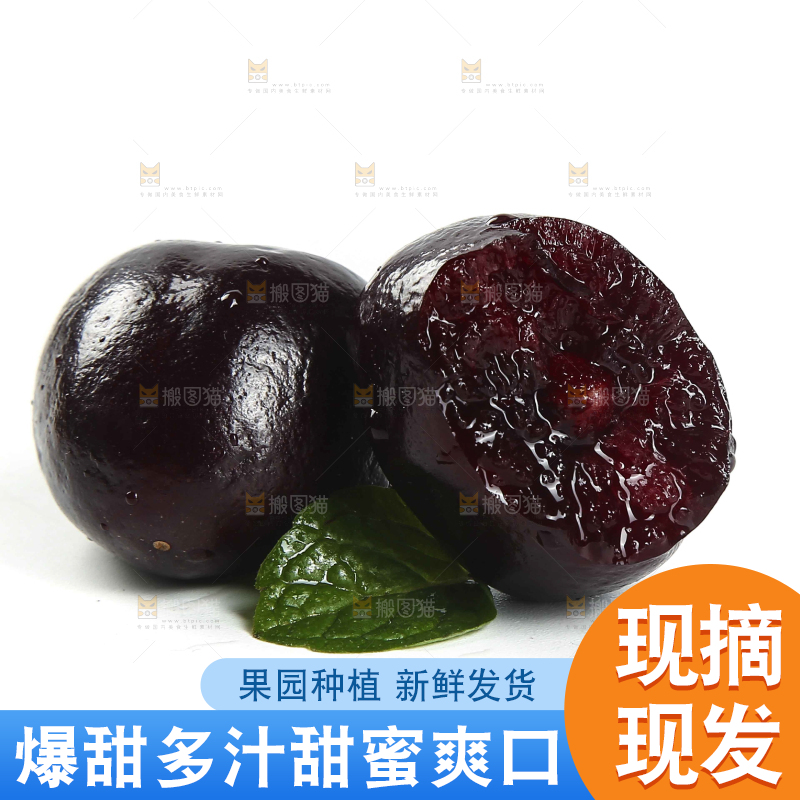白底上的四川汉源黑珍珠