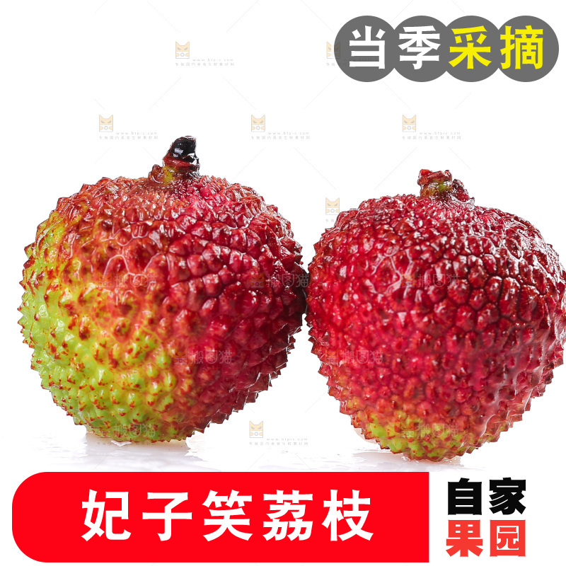 白底上放着妃子笑荔枝