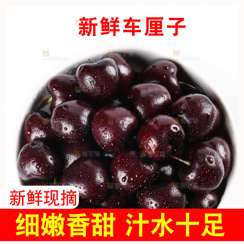一盘智利车厘子摆放在白底上