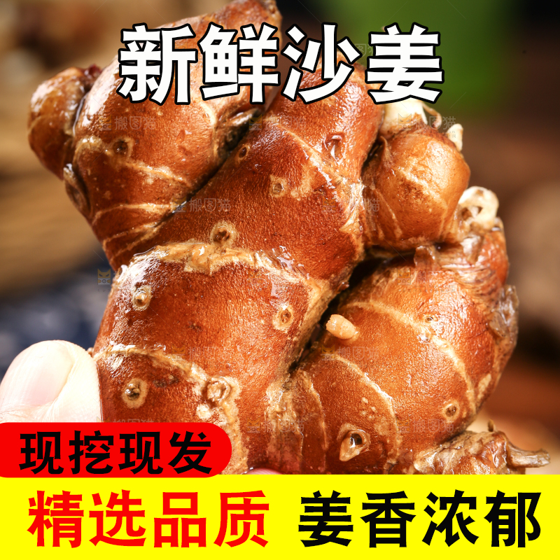 手里拿着沙姜