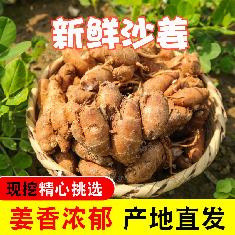 田地上放着一篮沙姜
