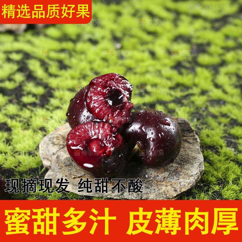 石头上的樱桃