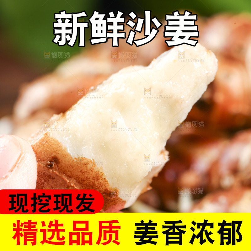 手里拿着沙姜