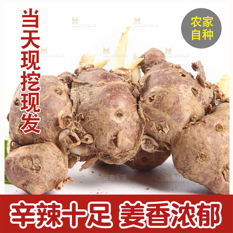 白底上放着茂名沙姜
