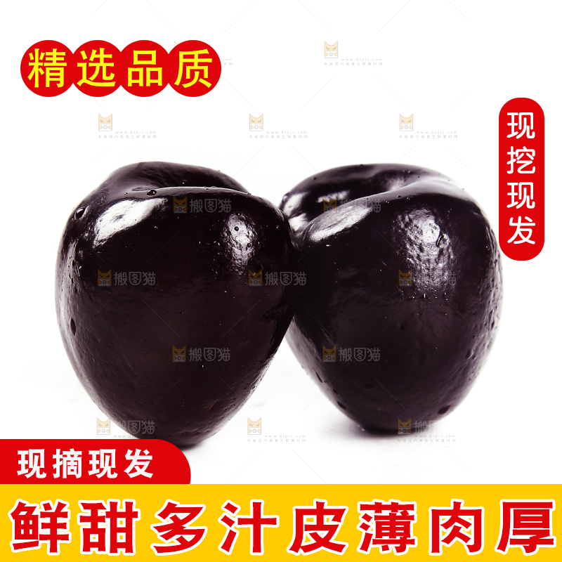 白底上的四川汉源黑珍珠