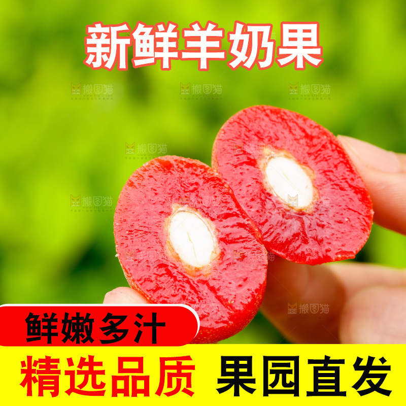 切开的羊奶果