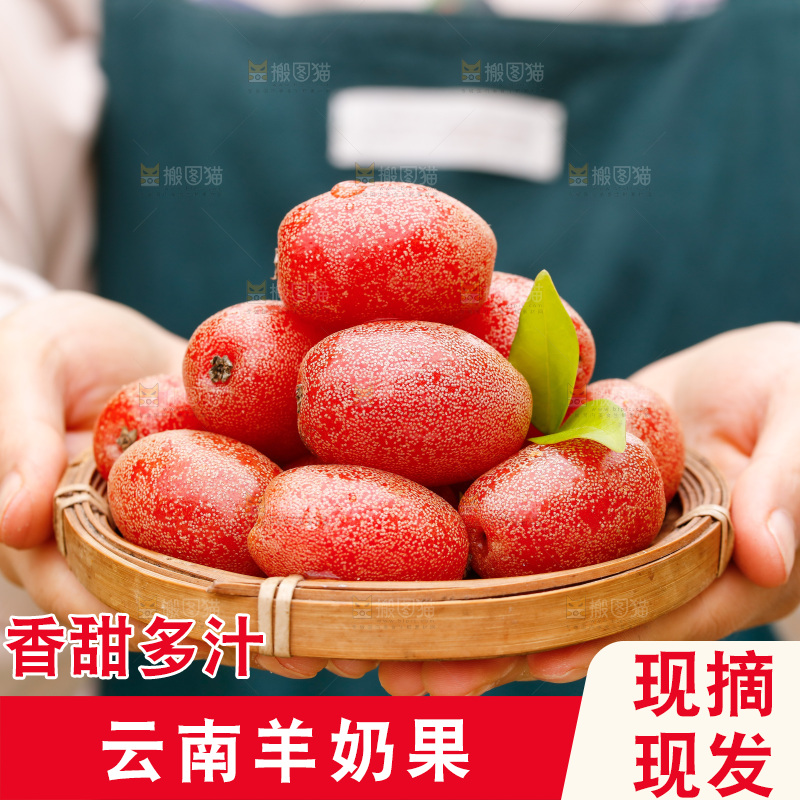 手里端着一盘新鲜羊奶果