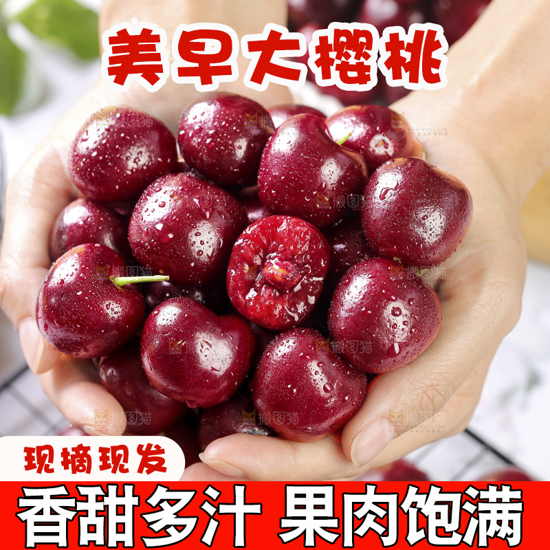 手里捧着山东大樱桃