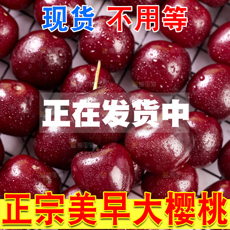 美早大樱桃纹理