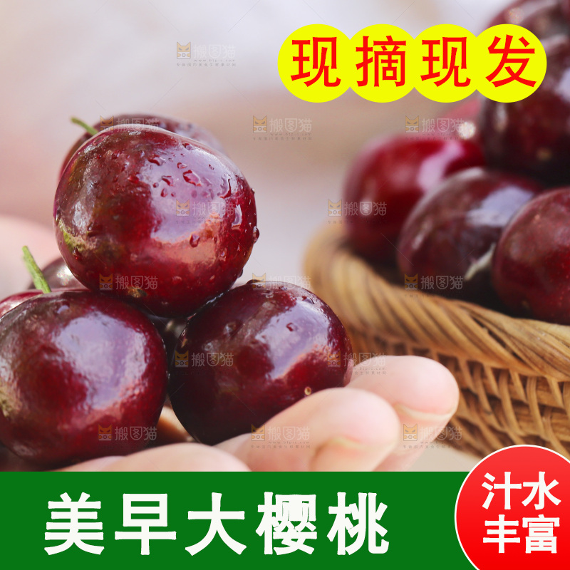 手里拿着山东大樱桃