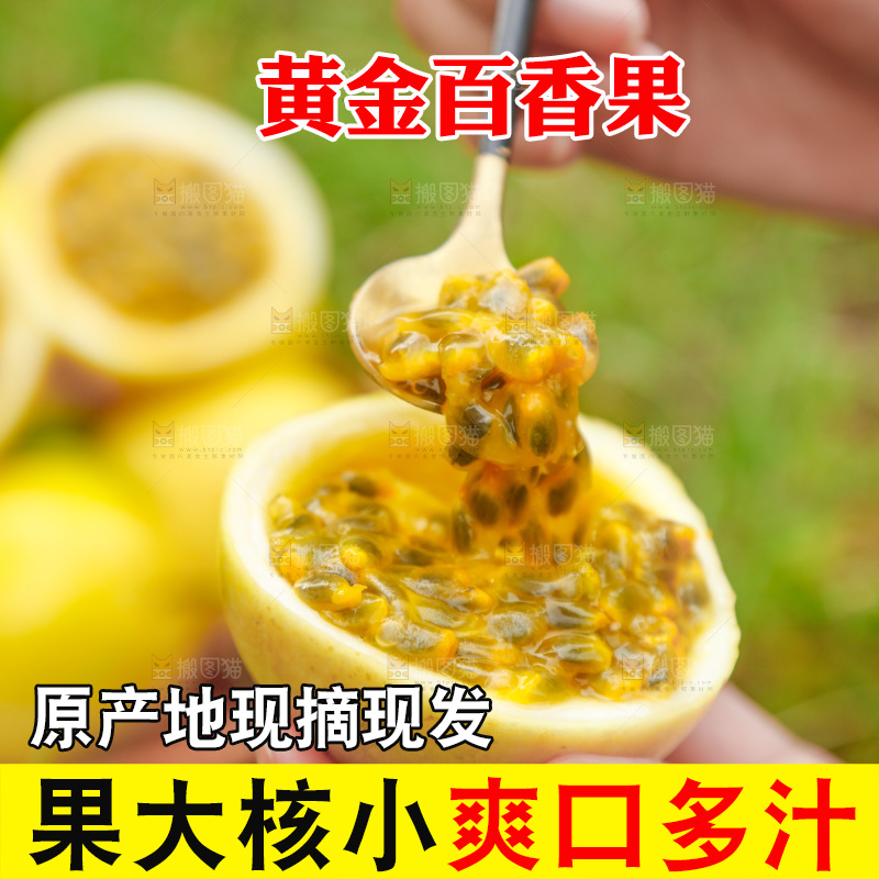 勺子舀着黄金百香果果肉