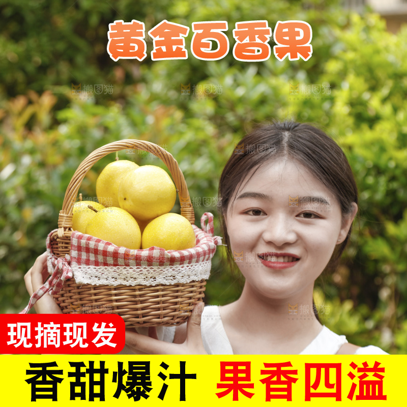 女孩手里端着一篮新鲜黄金百香果