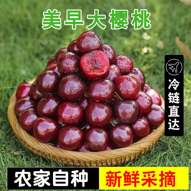 草地上放着一篮大樱桃