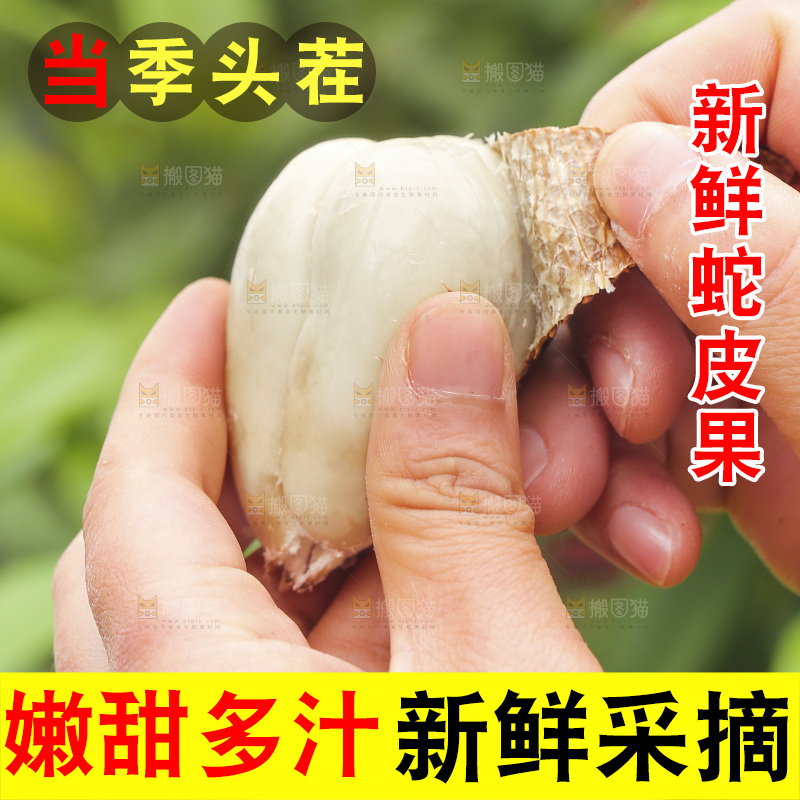 手剥新鲜印尼蛇皮果