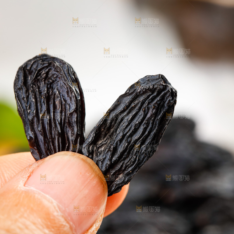 手里拿着黑加仑葡萄干