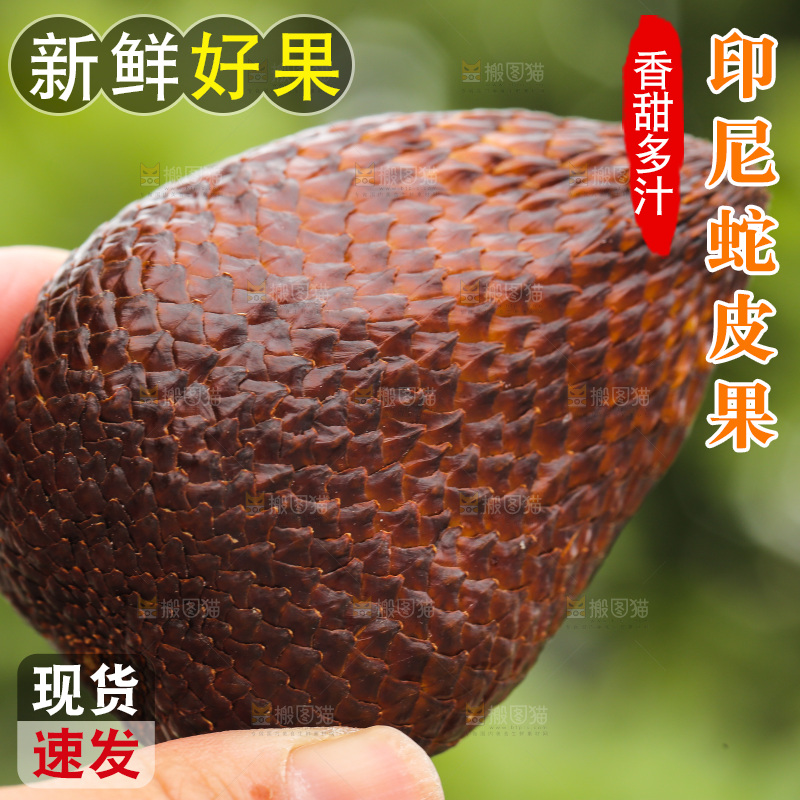 手里拿着新鲜蛇皮果