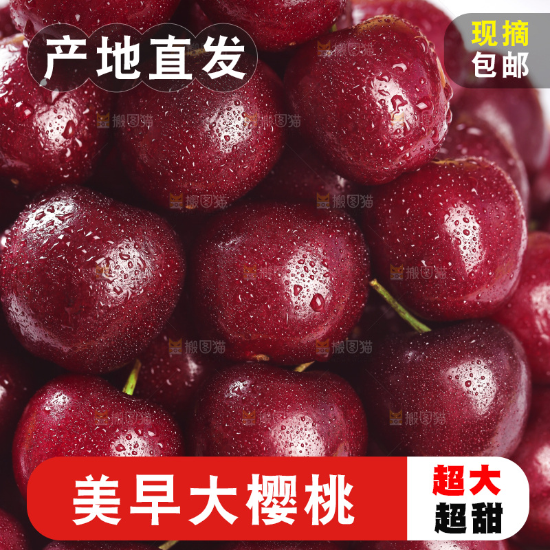 山东大樱桃纹理