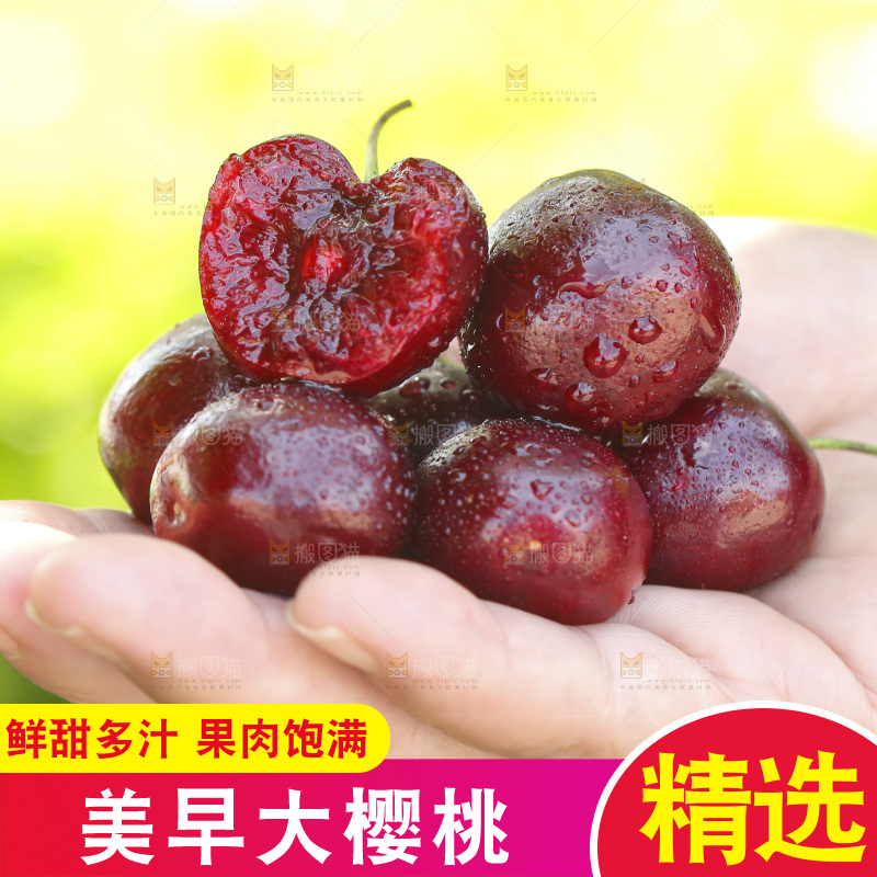 手里拿着大樱桃