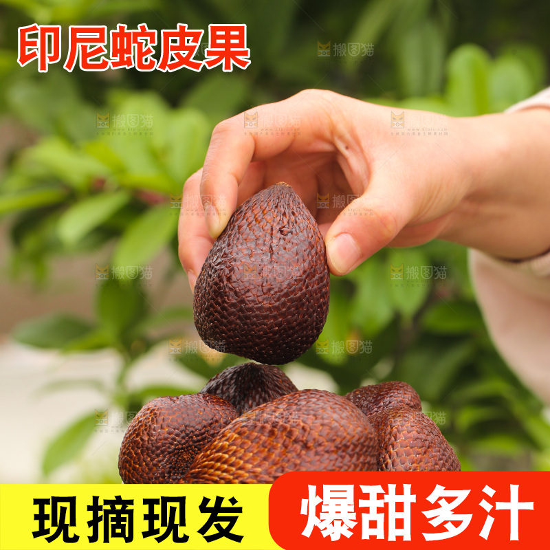 手里拿着新鲜蛇皮果