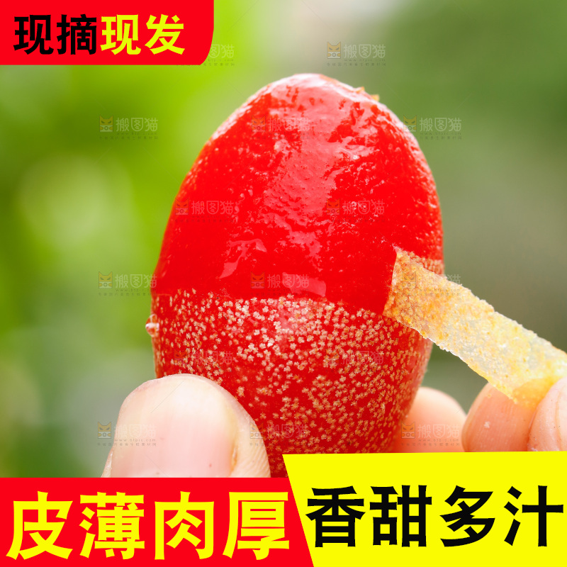 手剥皮新鲜羊奶果