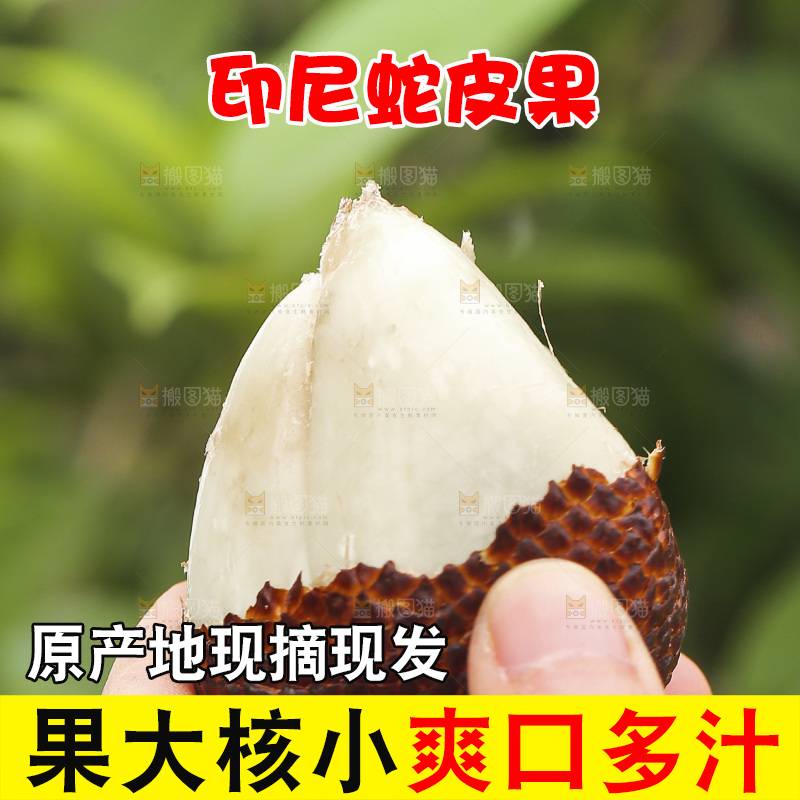 手里拿着新鲜印尼蛇皮果