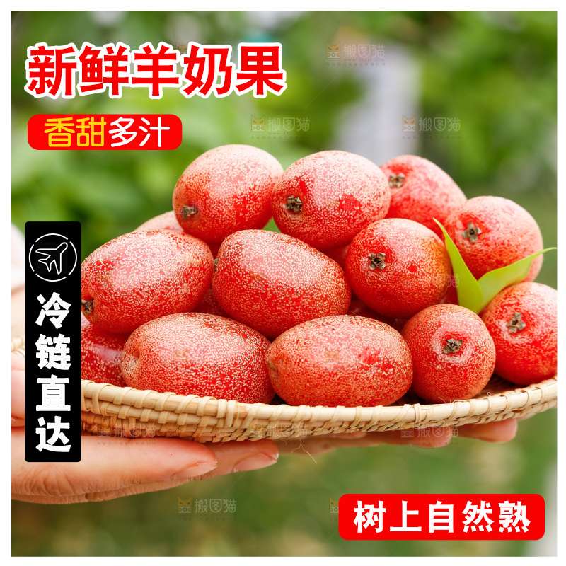 手里端着一盘羊奶果