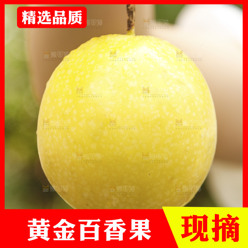 黄金百香果特写