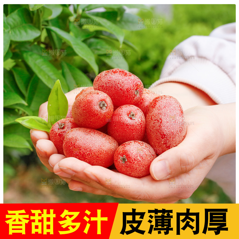 手里捧着羊奶果