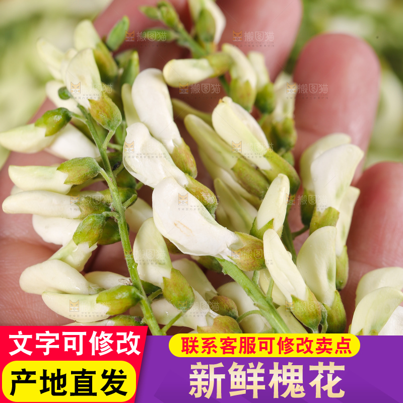 手里拿着野生槐花