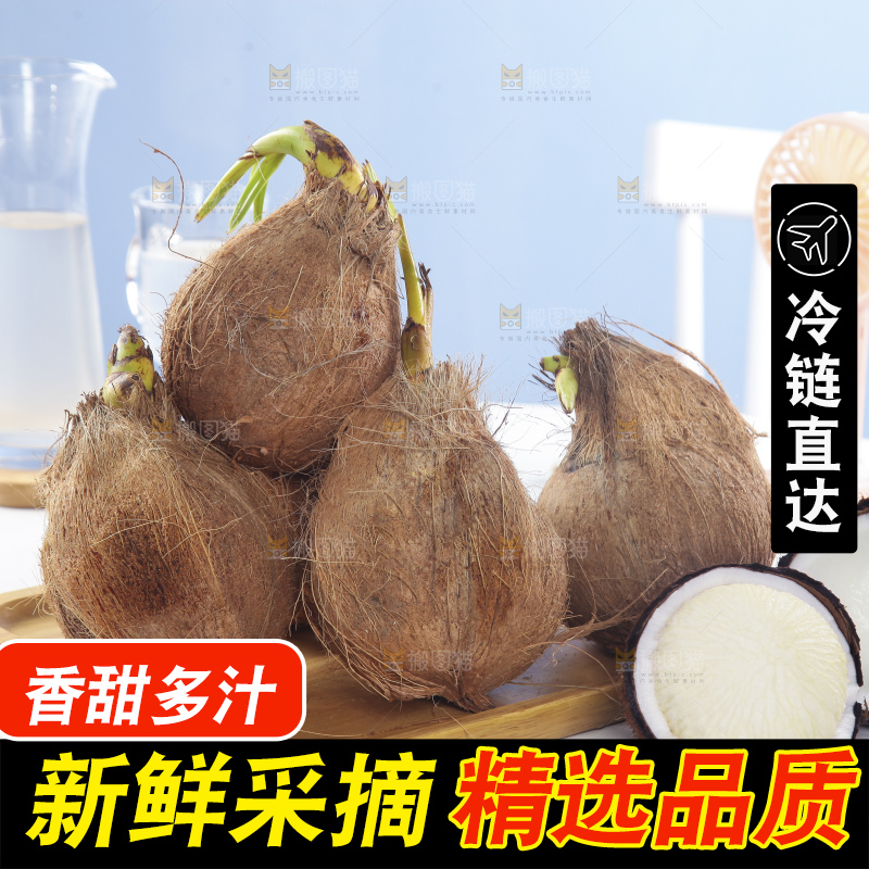 白底上放着一盘海南牛奶椰宝