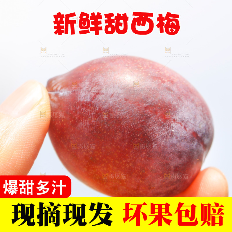 手里拿着新鲜西梅