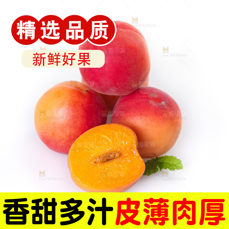 白底上一堆新鲜小红杏
