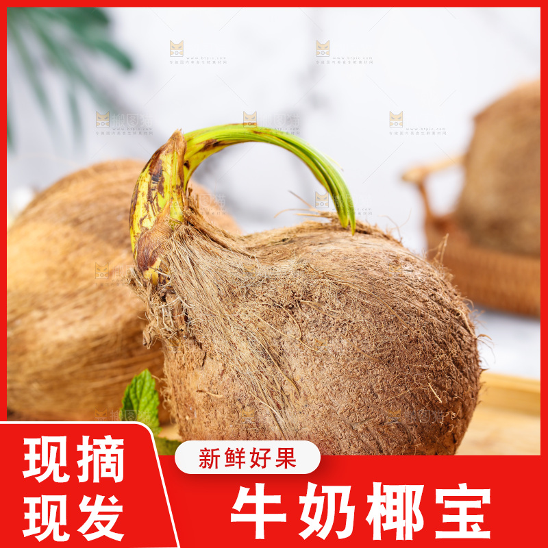 木盘里放着海南椰宝