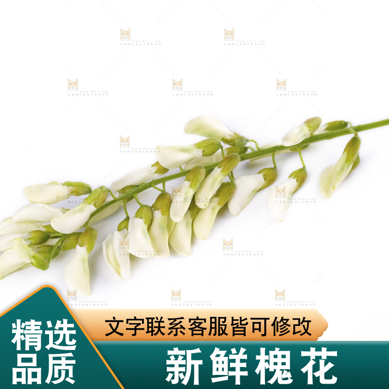 白底上放着槐花