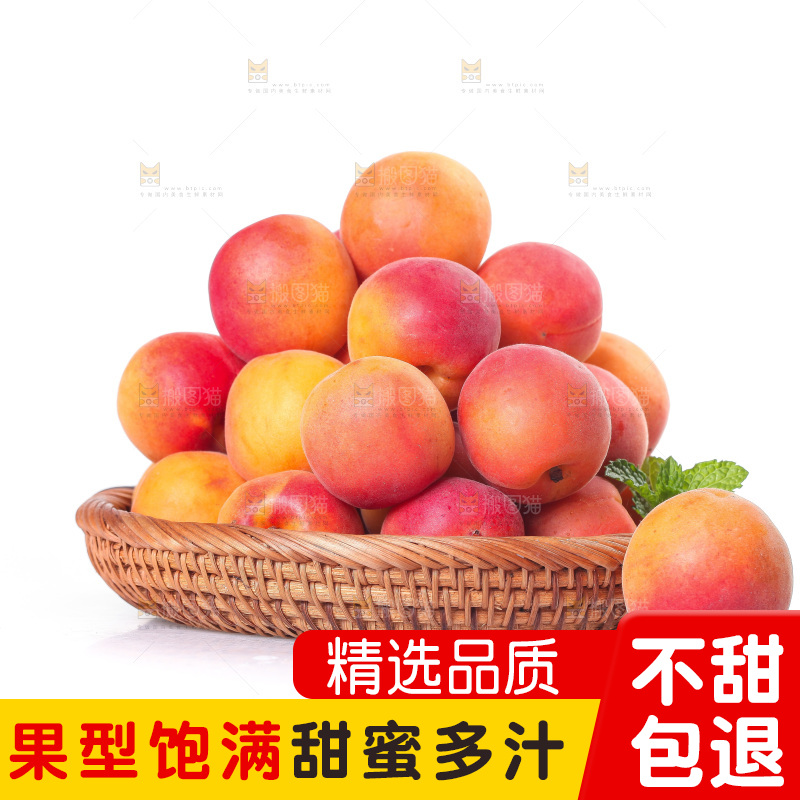 白底上放着一篮崂山蜜杏