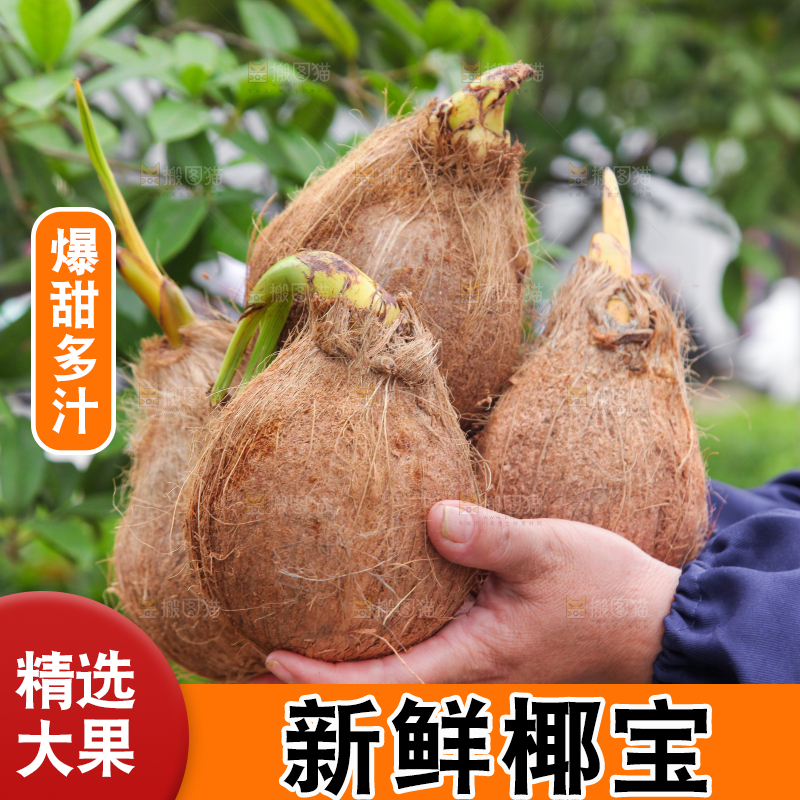 手里捧着海南椰宝