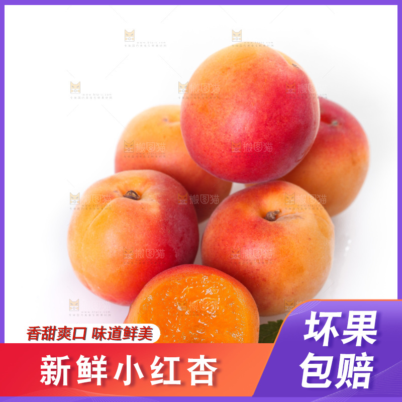 白底上一堆新鲜小红杏