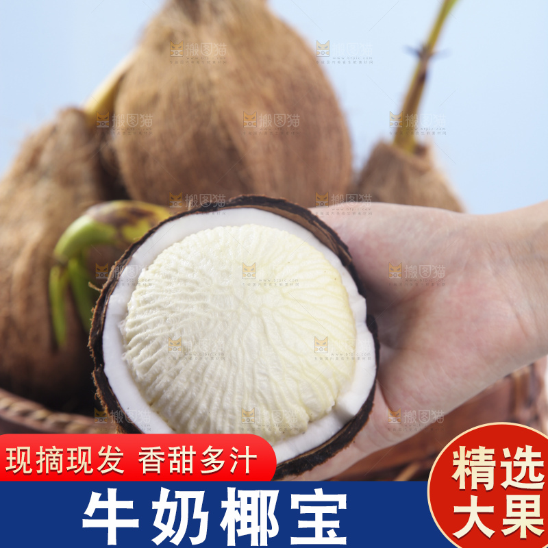 手里拿着椰宝果肉