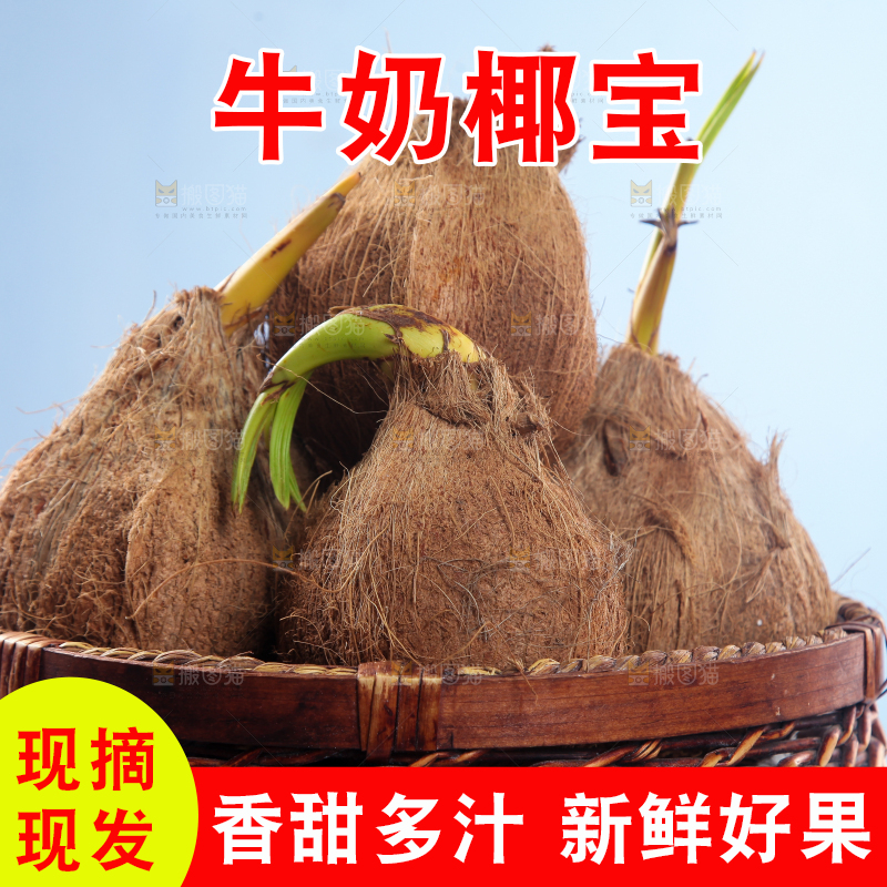 一篮椰宝