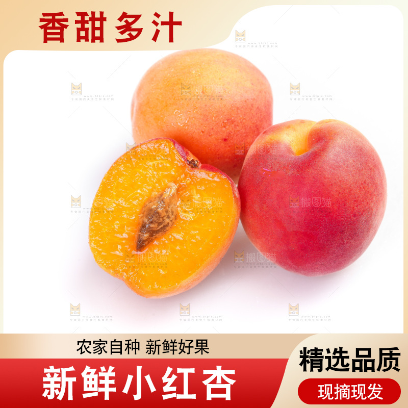 白底上放着小红杏